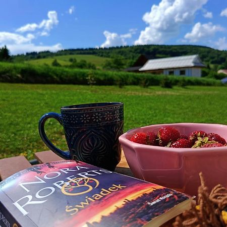 Pokoje Goscinne U Olguni Chyrowa Kültér fotó