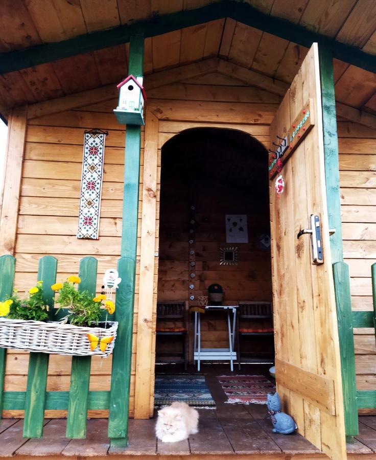 Pokoje Goscinne U Olguni Chyrowa Kültér fotó