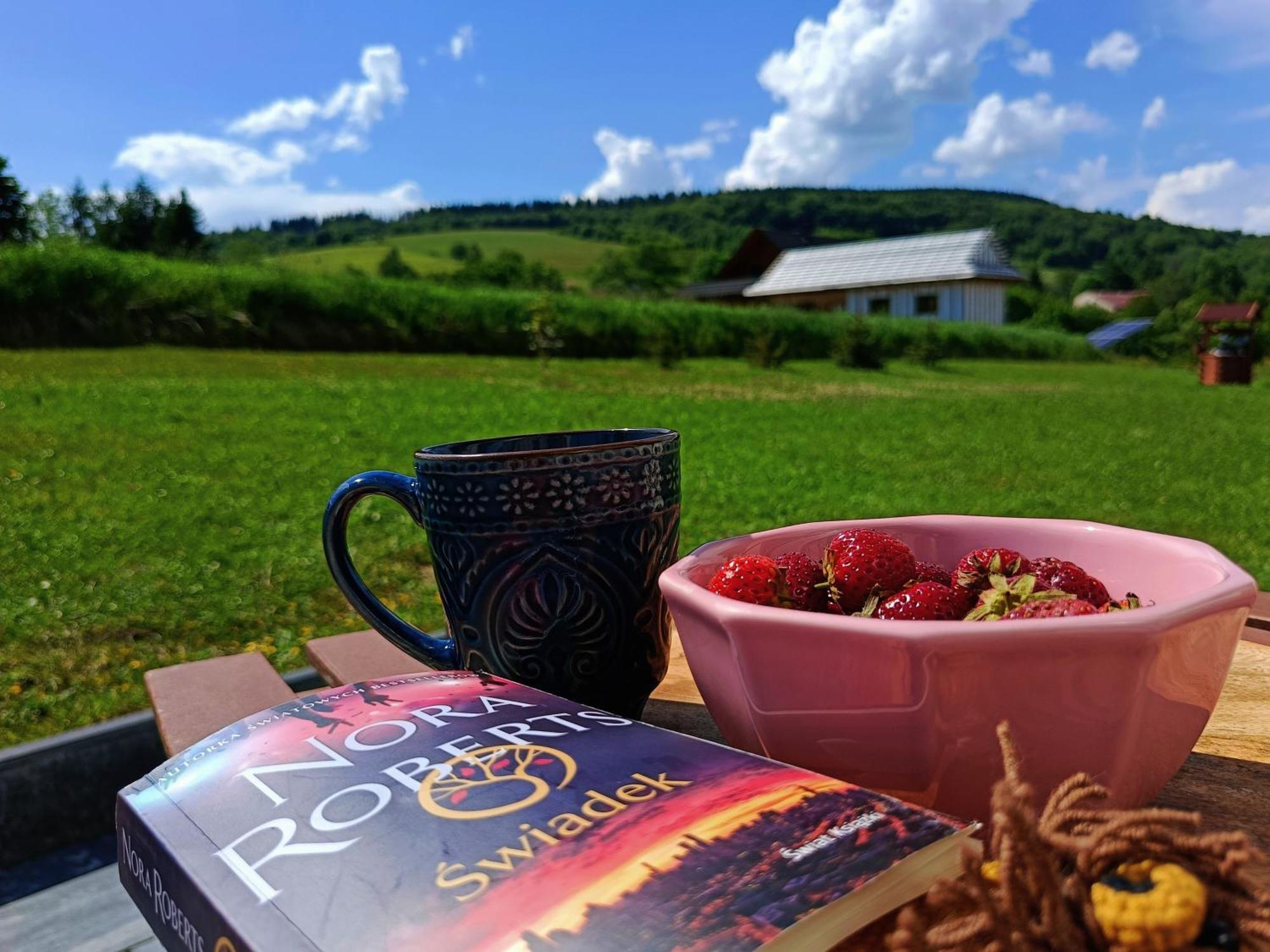 Pokoje Goscinne U Olguni Chyrowa Kültér fotó